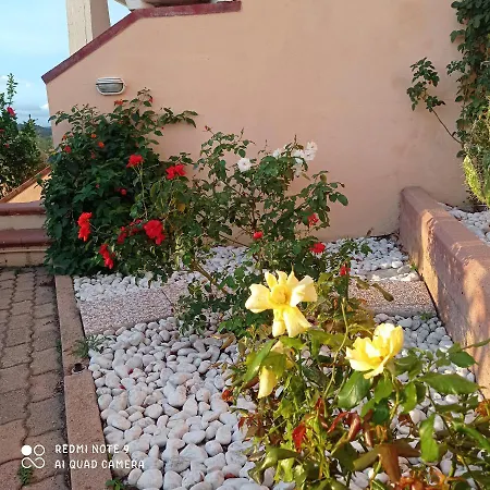 Delle Rose Tatil Evi