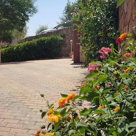 Delle Rose